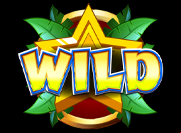 Wild Symbols